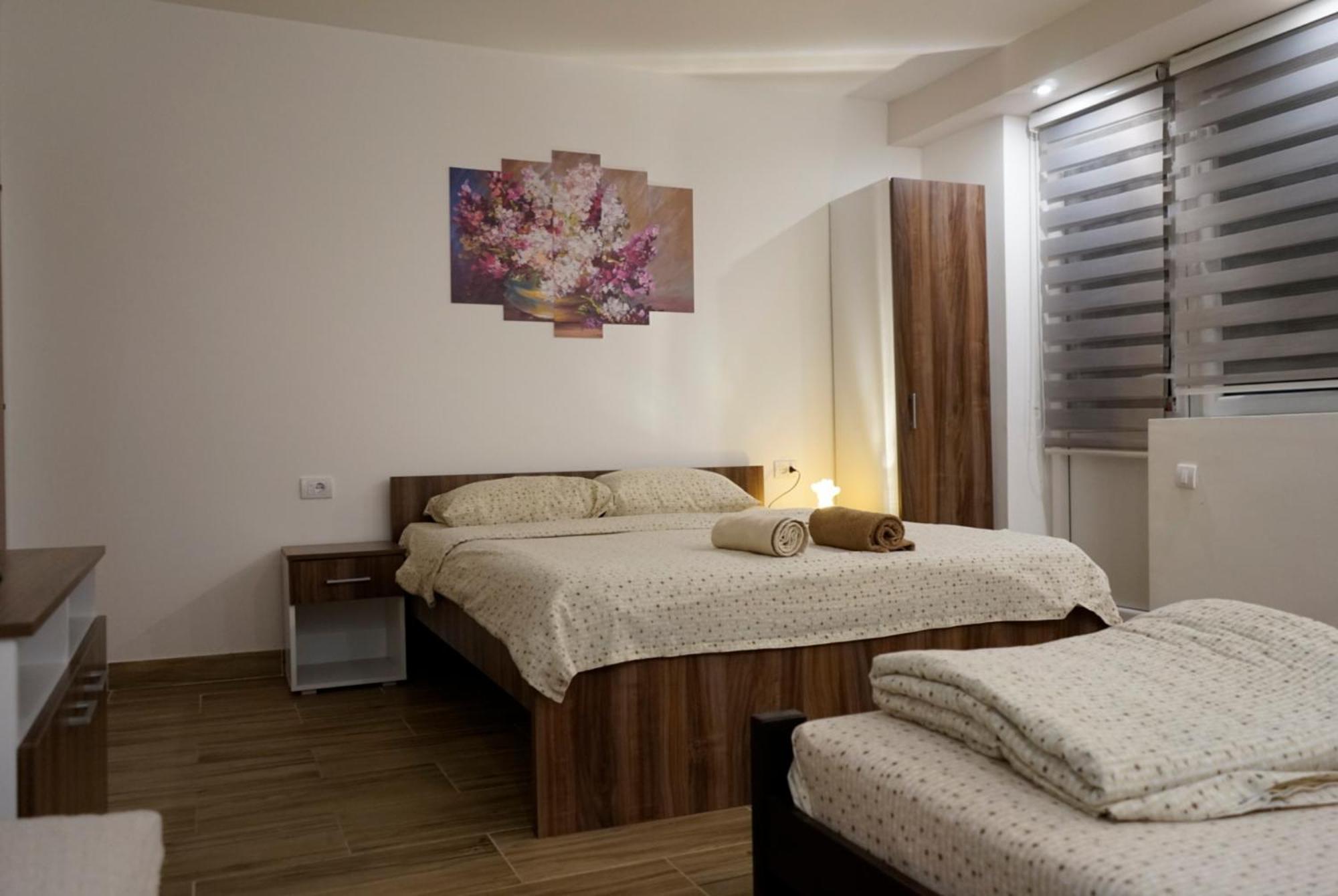 Sobe Jovan Apartment Soko Banja